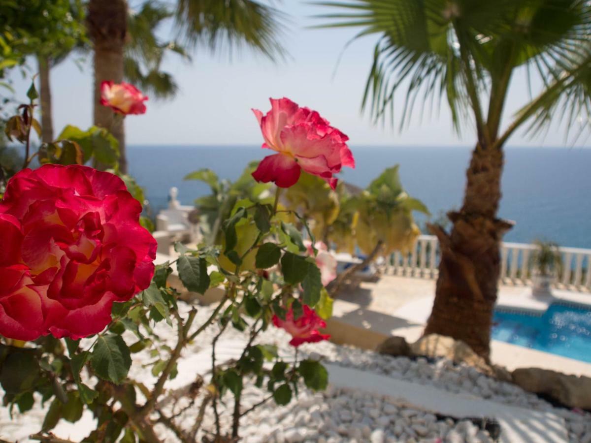 Frontline Villa, Five Star Deluxe El Campello Bagian luar foto